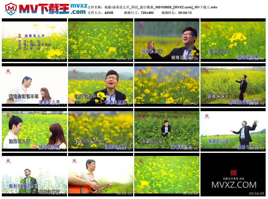 祝健-油菜花儿开_国语_流行歌曲_MB105855